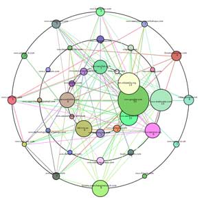 Search engine optimization software
